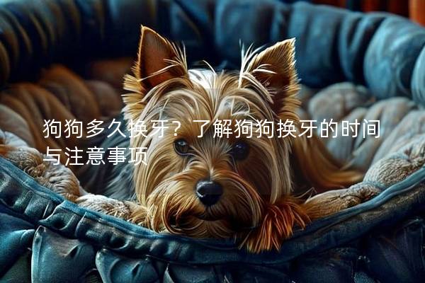 狗狗多久换牙？了解狗狗换牙的时间与注意事项