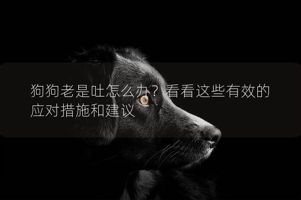 狗狗老是吐怎么办？看看这些有效的应对措施和建议