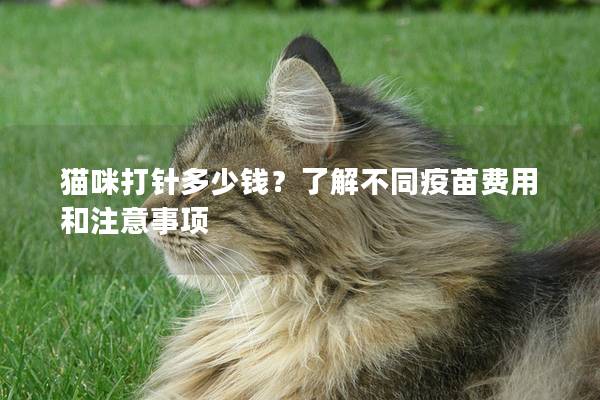 猫咪打针多少钱？了解不同疫苗费用和注意事项