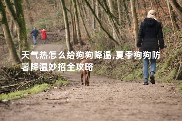 天气热怎么给狗狗降温,夏季狗狗防暑降温妙招全攻略