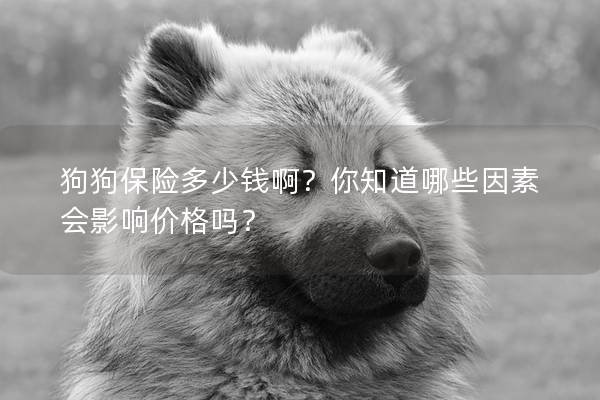 狗狗保险多少钱啊？你知道哪些因素会影响价格吗？