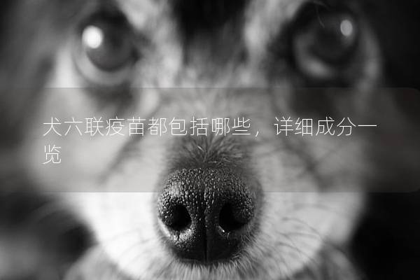 犬六联疫苗都包括哪些，详细成分一览