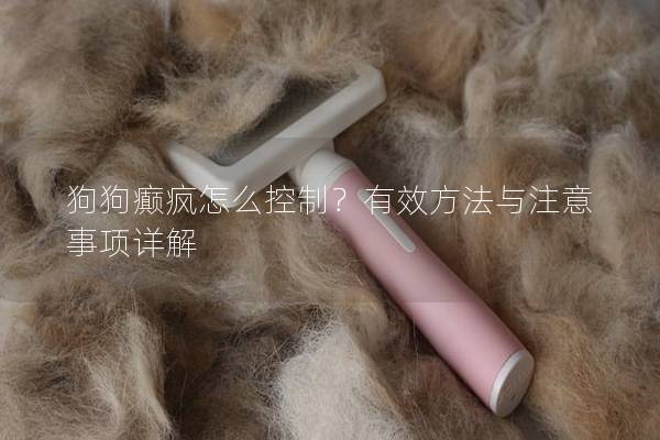 狗狗癫疯怎么控制？有效方法与注意事项详解