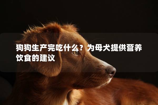 狗<a href=