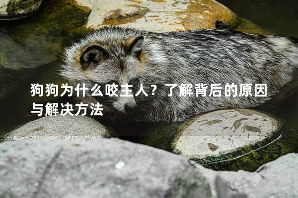 狗狗为什么咬主人？了解背后的原因与解决方法