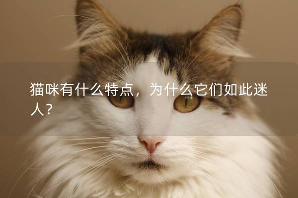 猫咪有什么特点，为什么它们如此迷人？