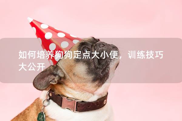 如何培养狗狗定点大小便，训练技巧大公开