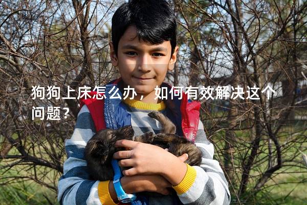 狗狗上床怎么办，如何有效解决这个问题？