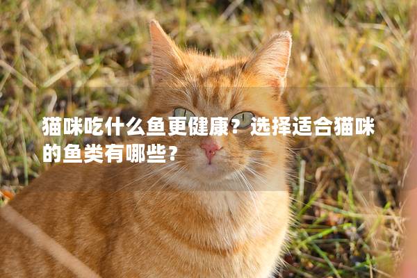 猫咪吃什么鱼更健康？选择适合猫咪的鱼类有哪些？