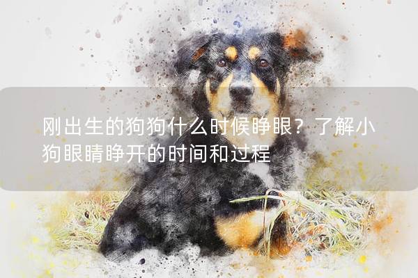 刚出生的狗狗什么时候睁眼？了解小狗眼睛睁开的时间和过程