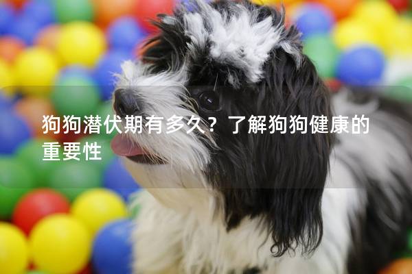 狗狗潜伏期有多久？了解狗狗健康的重要性