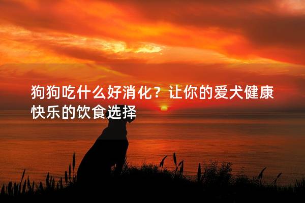 狗狗吃什么好消化？让你的爱犬健康快乐的饮食选择