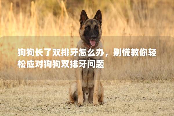 狗狗长了双排牙怎么办，别慌教你轻松应对狗狗双排牙问题