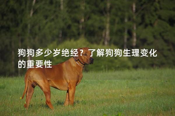 狗狗多少岁绝经？了解狗狗生理变化的重要性