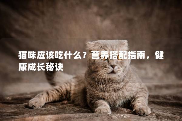 猫咪应该吃什么？营养搭配指南，健康成长秘诀