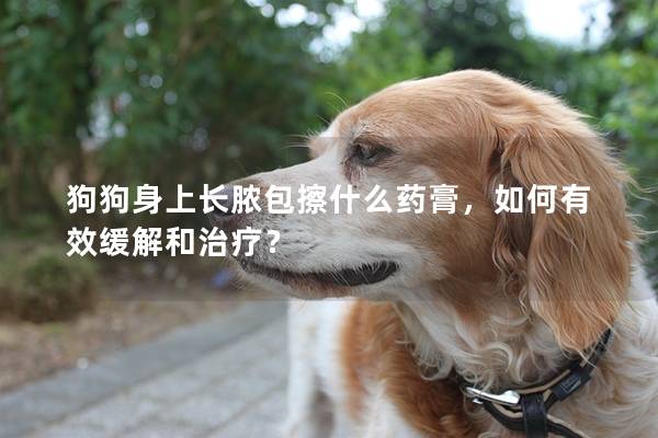 狗狗身上长脓包擦什么药膏，如何有效缓解和治疗？