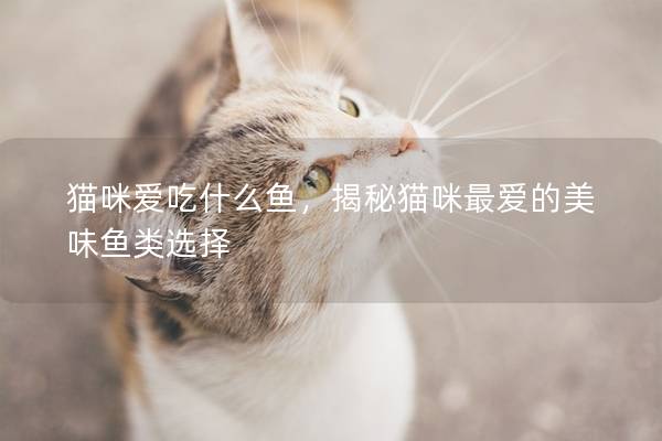 猫咪爱吃什么鱼，揭秘猫咪最爱的美味鱼类选择