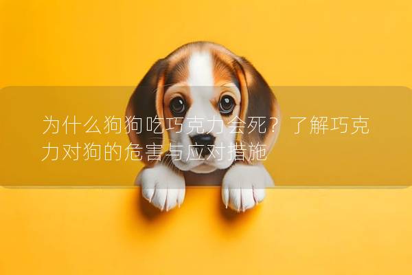 为什么狗狗吃巧克力会死？了解巧克力对狗的危害与应对措施