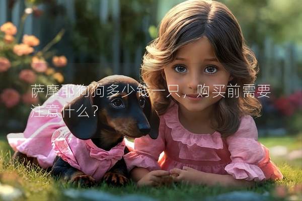 萨摩耶狗狗多少钱一只，购买前需要注意什么？