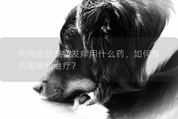 狗狗皮肤发红发痒用什么药，如何有效缓解和治疗？