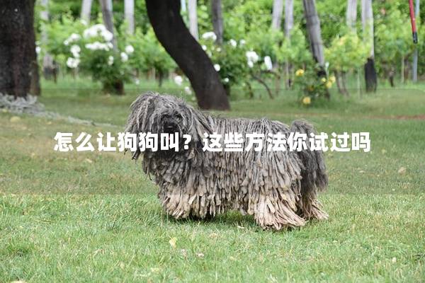怎么让狗狗叫？这些方法你试过吗
