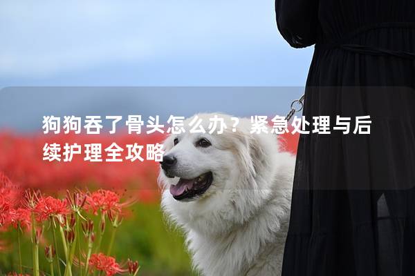 狗狗吞了骨头怎么办？紧急处理与后续护理全攻略