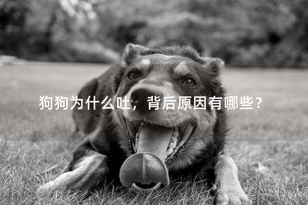 狗狗为什么吐，背后原因有哪些？