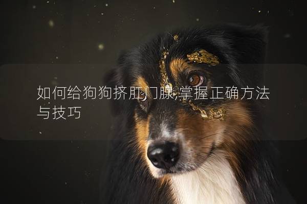 如何给狗狗挤肛门腺,掌握正确方法与技巧