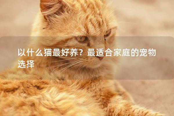 以什么猫最好养？最适合家庭的宠物选择