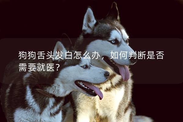 狗狗舌头发白怎么办，如何判断是否需要就医？