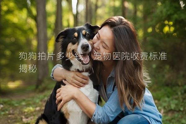 狗狗拍片多少钱，宠物医院收费标准揭秘
