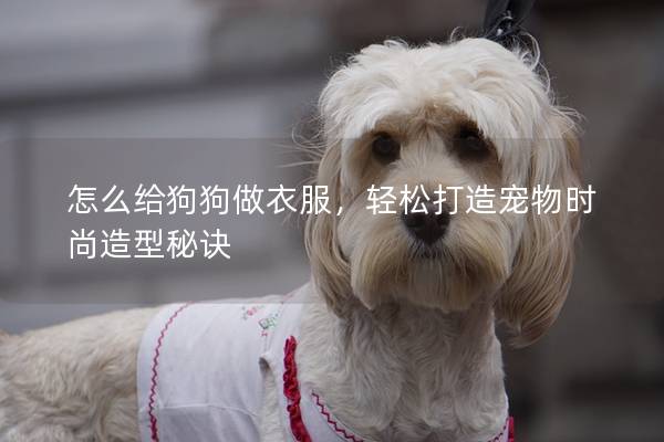 怎么给狗狗做衣服，轻松打造宠物时尚造型秘诀