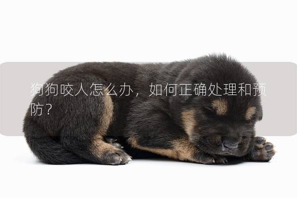 狗狗咬人怎么办，如何正确处理和预防？