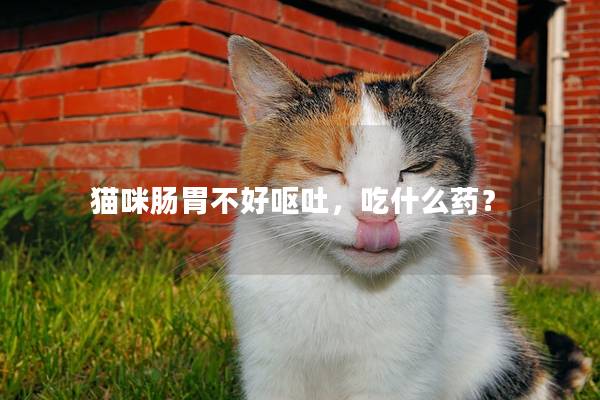 猫咪肠胃不好呕吐，吃什么药？