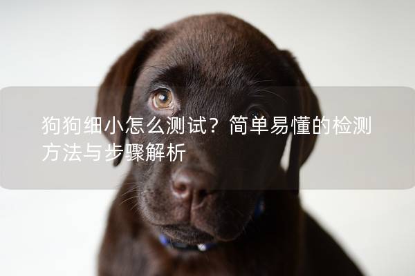 狗狗细小怎么测试？简单易懂的检测方法与步骤解析