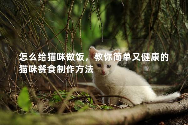 怎么给猫咪做饭，教你简单又健康的猫咪餐食制作方法