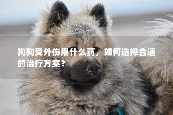 狗狗受外伤用什么药，如何选择合适的治疗方案？