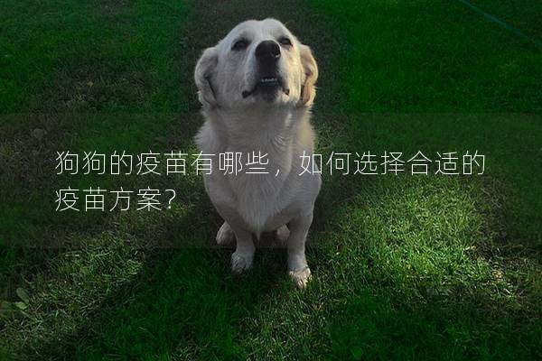 狗狗的疫苗有哪些，如何选择合适的疫苗方案？