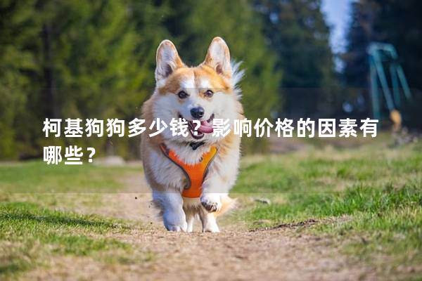 柯基狗狗多少钱？影响价格的因素有哪些？