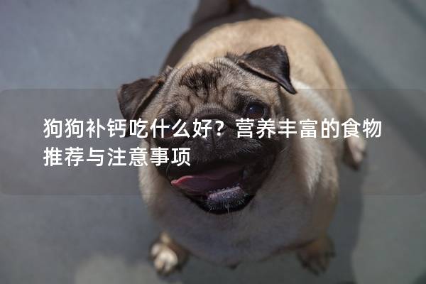 狗狗补钙吃什么好？营养丰富的食物推荐与注意事项