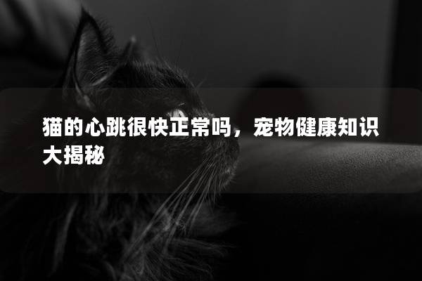 猫的心跳很快正常吗，宠物健康知识大揭秘