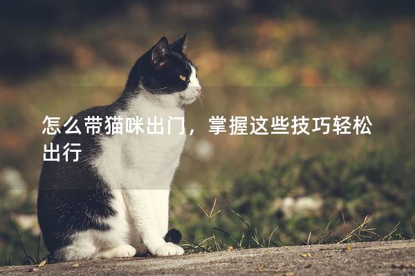怎么带猫咪出门，掌握这些技巧轻松出行