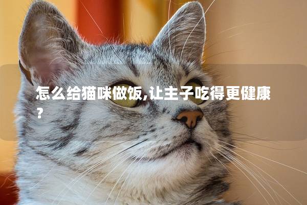 怎么给猫咪做饭,让主子吃得更健康？
