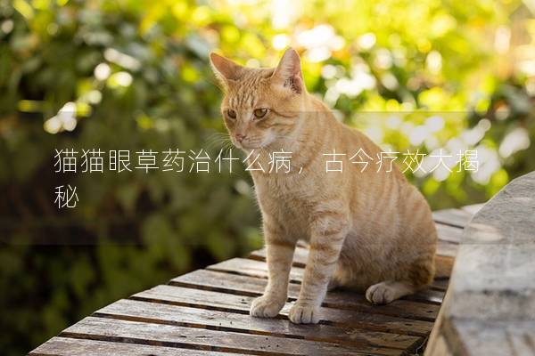 猫猫眼草药治什么病，古今疗效大揭秘