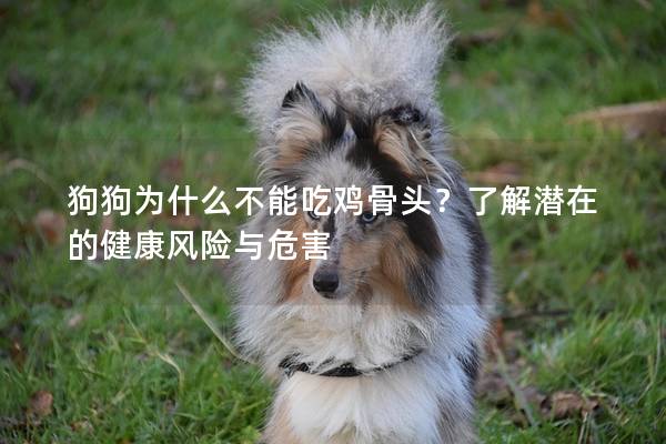 狗狗为什么不能吃鸡骨头？了解潜在的健康风险与危害
