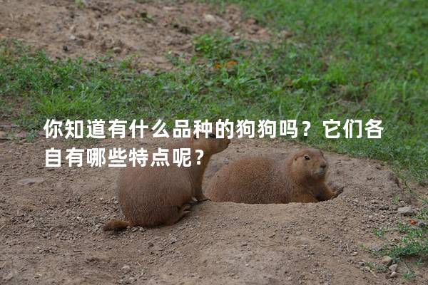 你知道有什么品种的狗狗吗？它们各自有哪些特点呢？