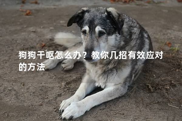 狗狗干呕怎么办？教你几招有效应对的方法
