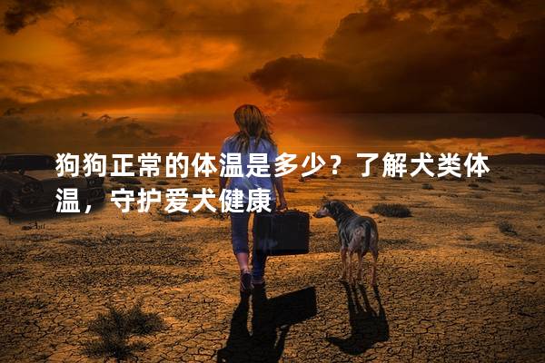 狗狗正常的体温是多少？了解犬类体温，守护爱犬健康