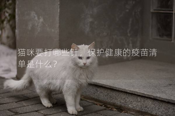 猫咪要打哪些针，保护健康的疫苗清单是什么？