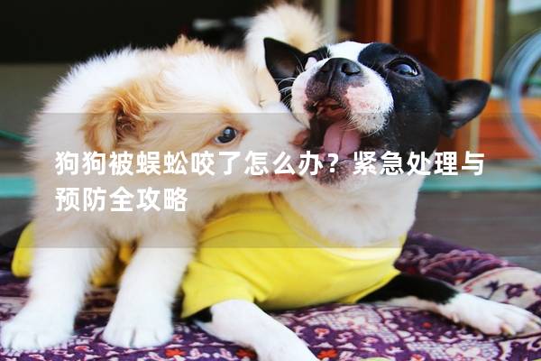 狗狗被蜈蚣咬了怎么办？紧急处理与预防全攻略